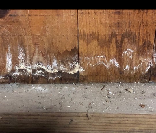 waterdamage waterdamage