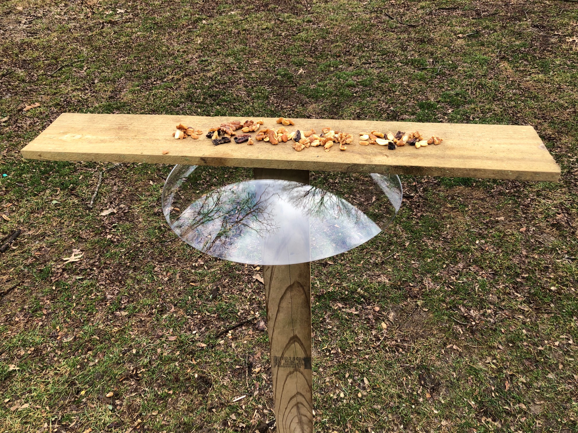 Squirrel proof DIY birdfeeder for woodpeckers