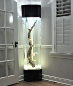 This is a corner fish tank with built in sleek stand for discus fish